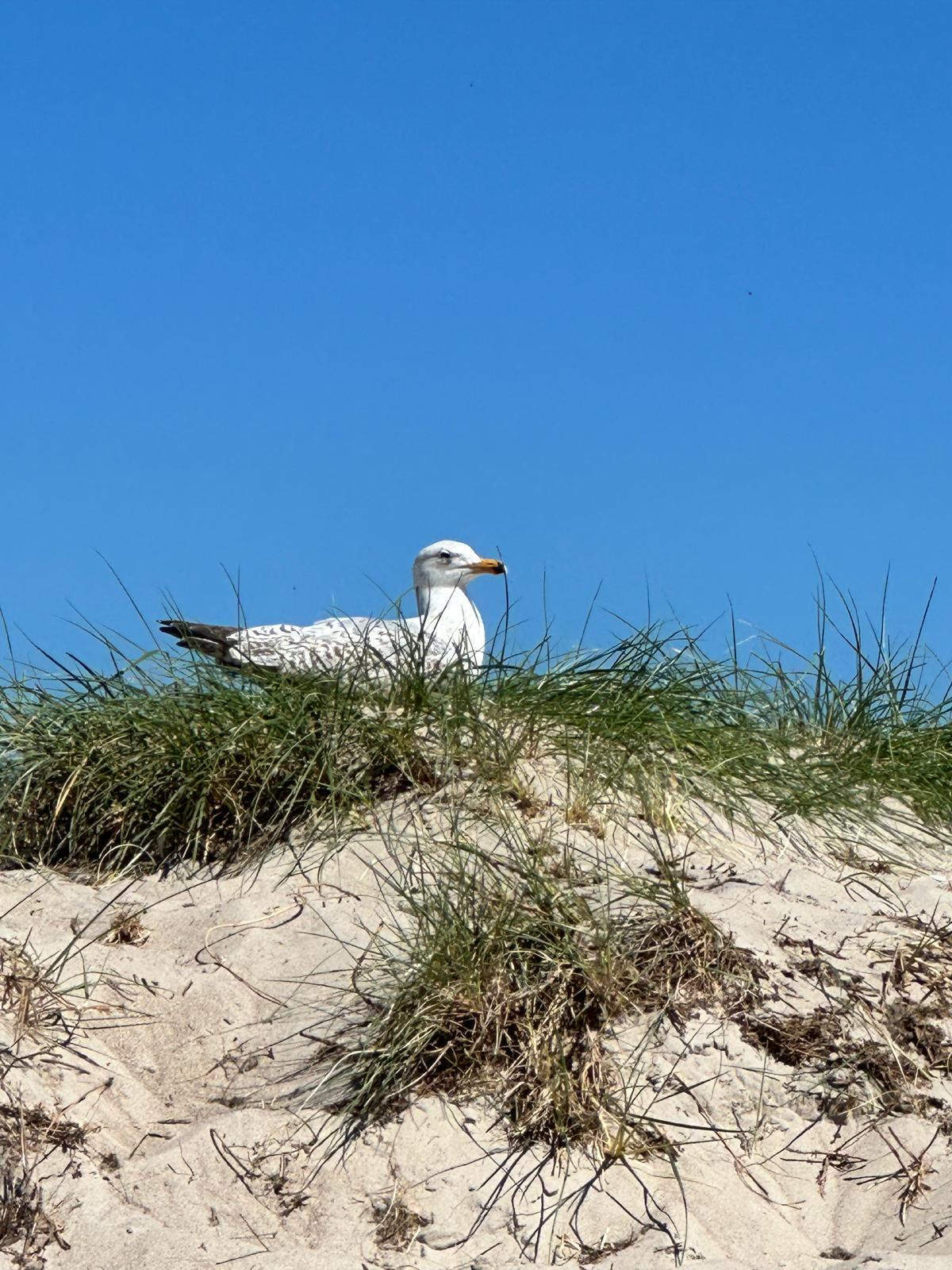 Umgebung Warnemünde