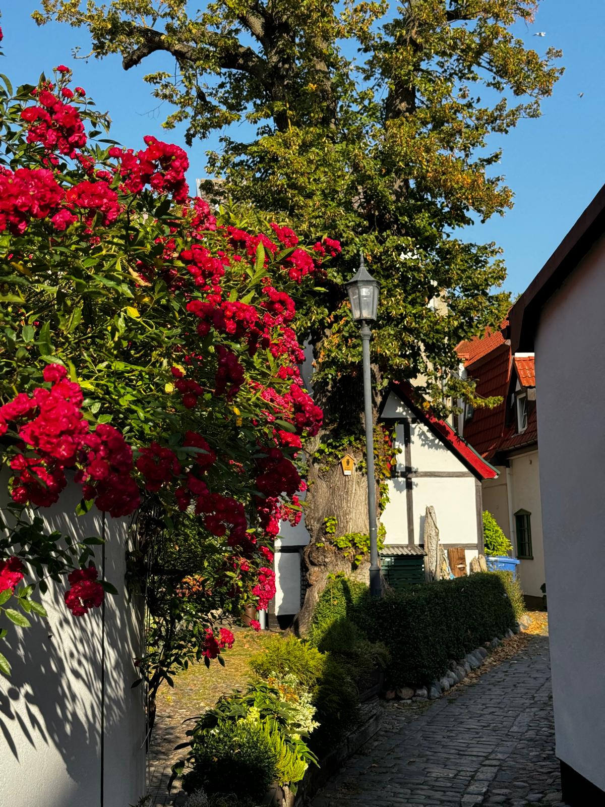 Aus der Umgebung