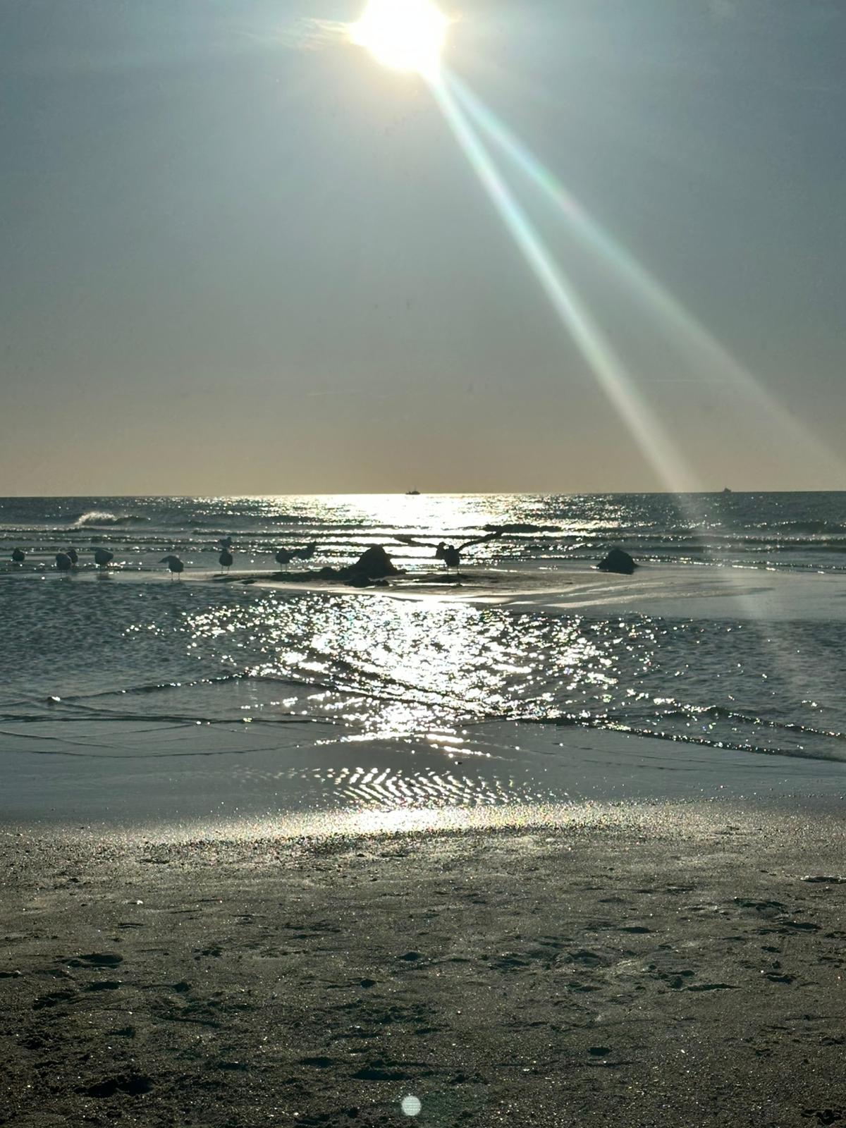 WhatsApp Image 2025-12-10 at 14.51.23 (1)