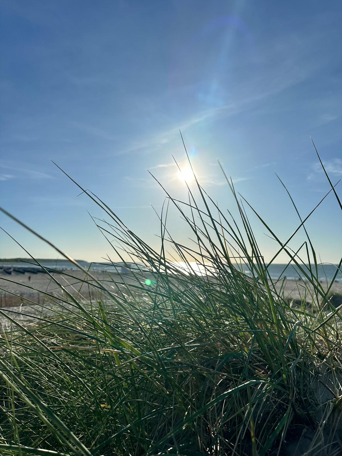 WhatsApp Image 2025-12-10 at 14.51.23 (2)