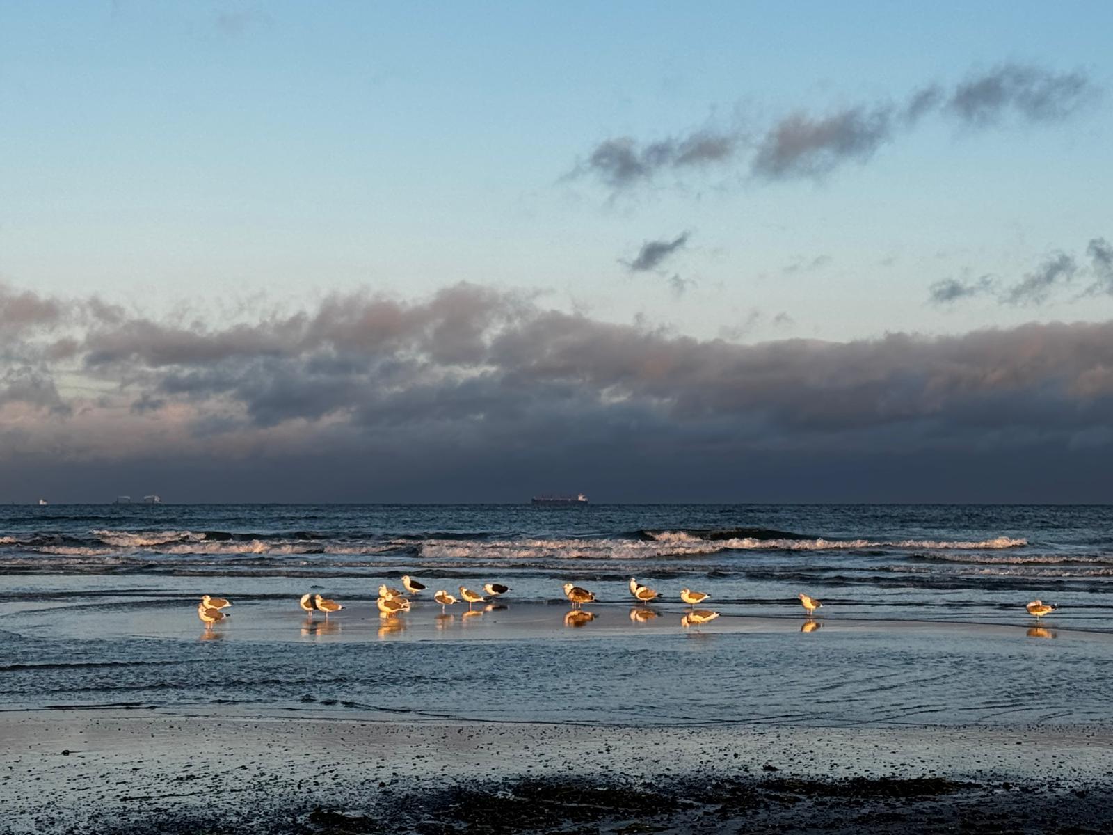 WhatsApp Image 2025-12-29 at 12.46.53