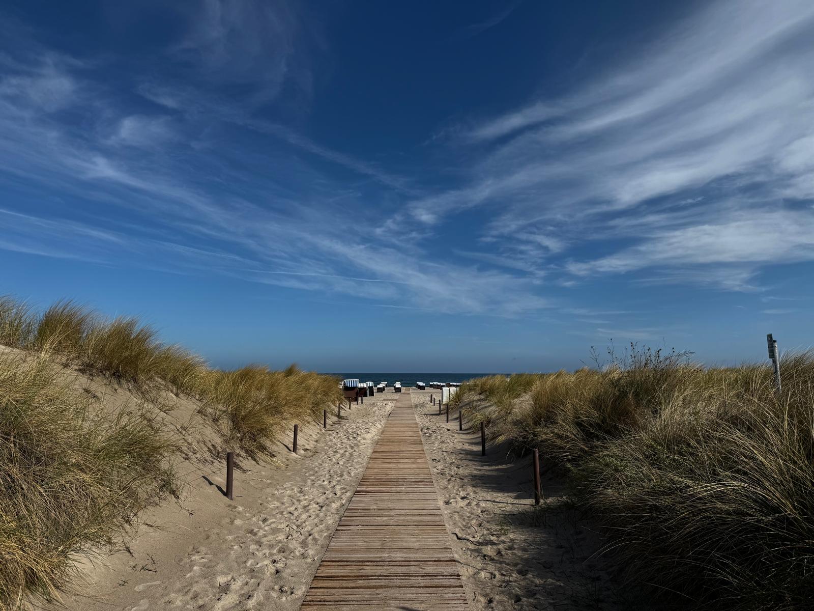 WhatsApp Image 2025-12-29 at 12.46.54 (4)