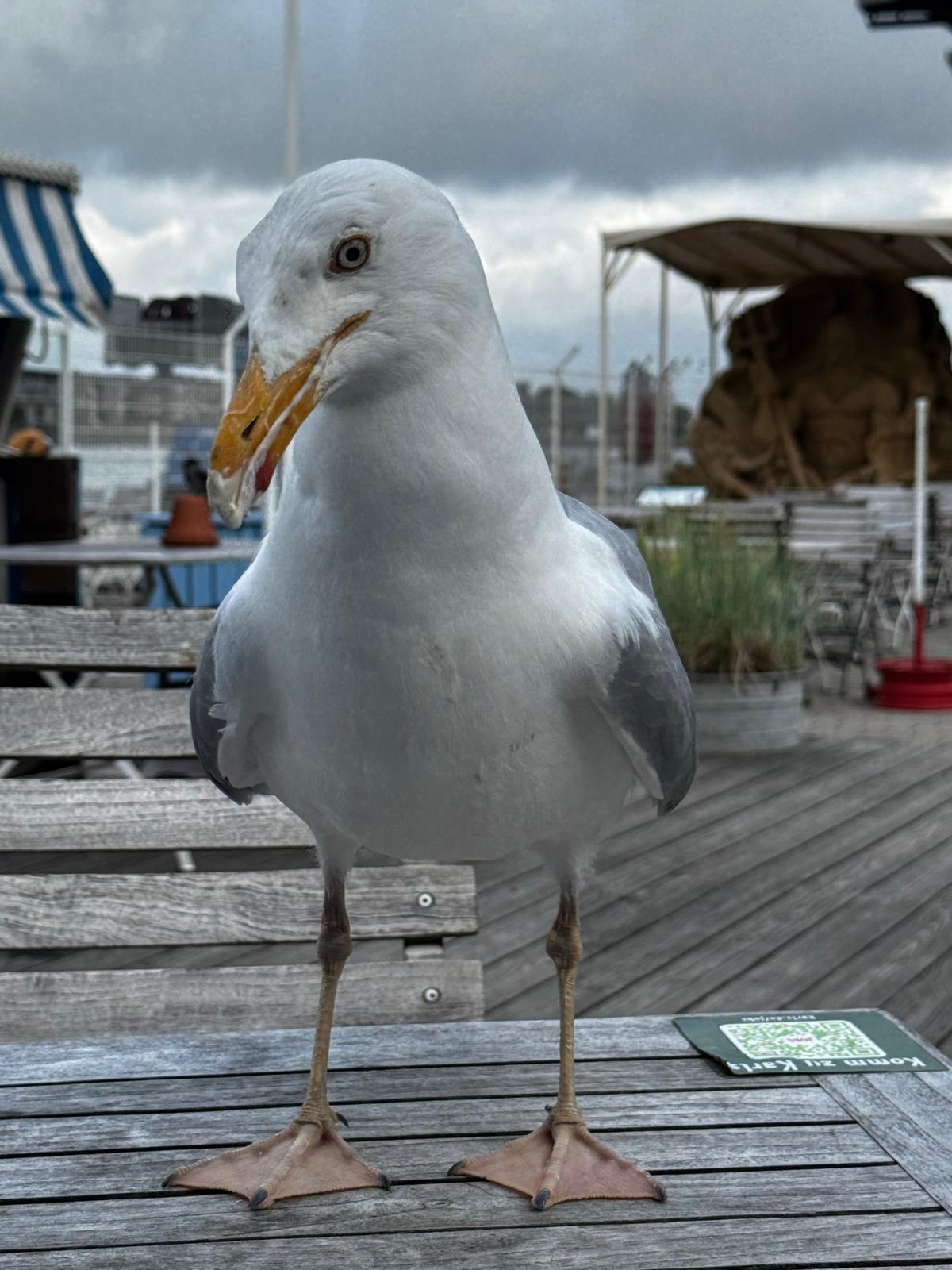 WhatsApp Image 2025-12-29 at 12.46.54