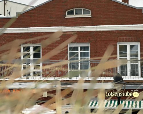 WhatsApp Image 2025-12-10 at 14.51.22